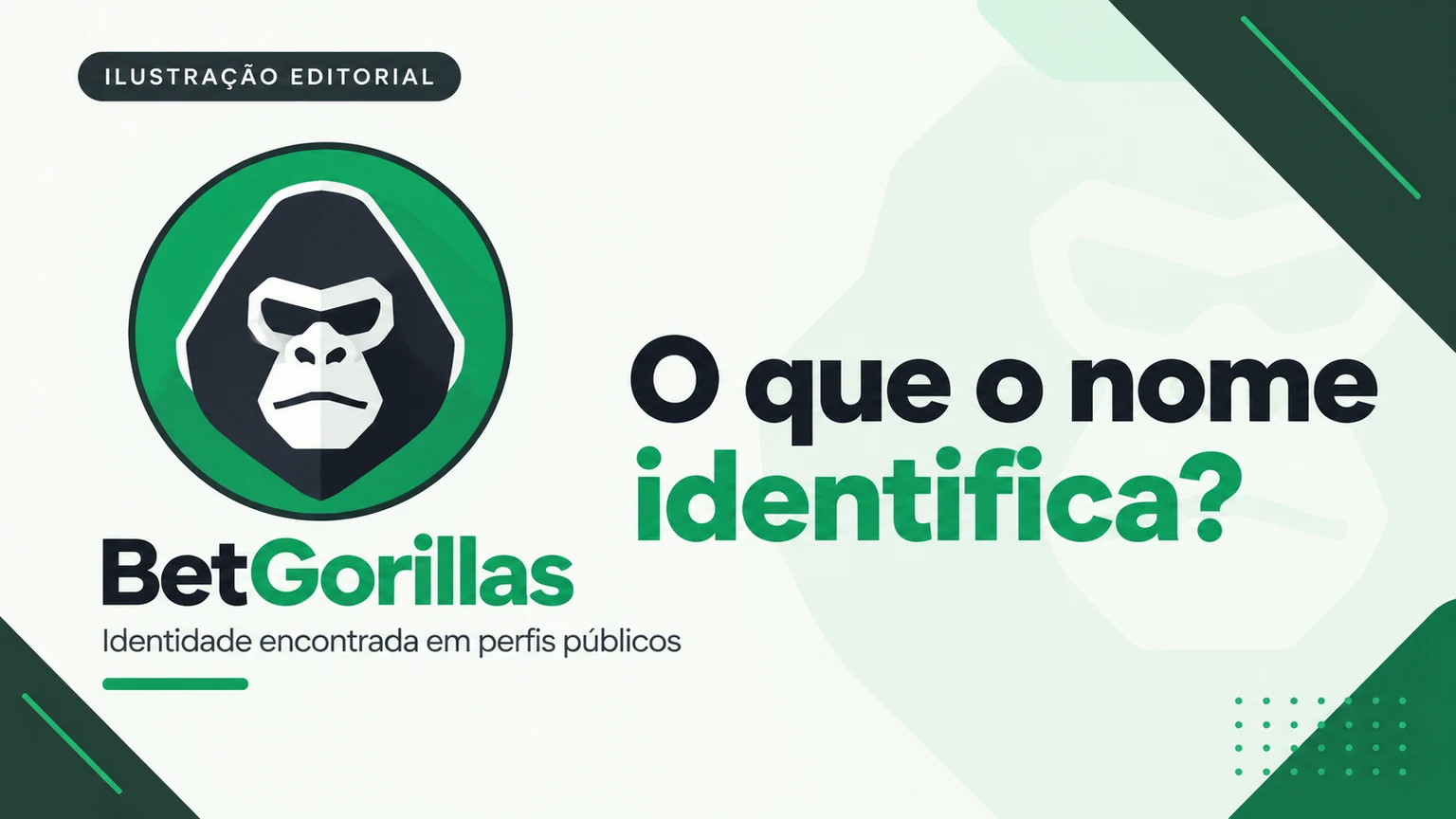 Painel editorial para distinguir marca, empresa e domínio atual da BetGorillas